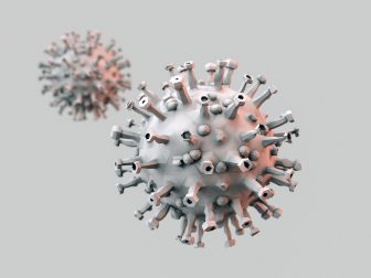 Corona Virus