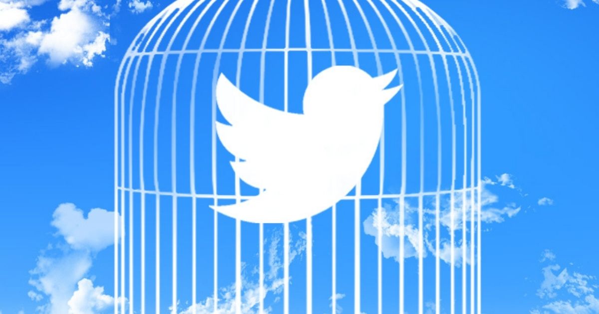 Blue Sky Twitter Bird in a Cage