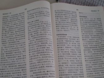 Chinese Bible