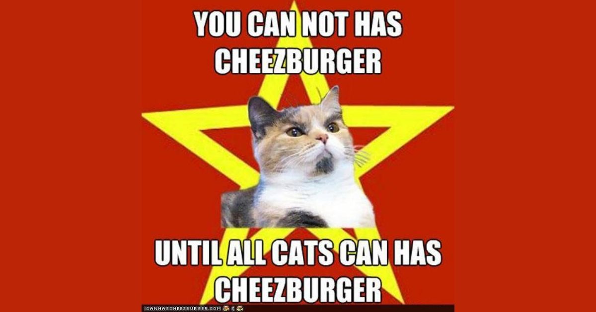 You Can Not Has Cheezburger Until All Cats Can Has Cheezburger