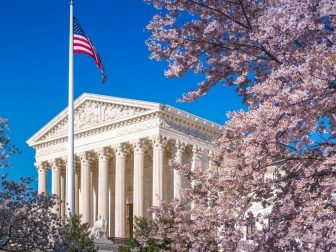 SCOTUS Surrounded by Blossoms