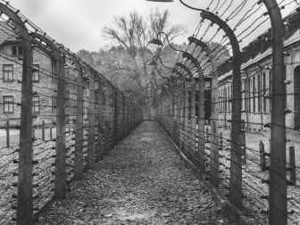 Pathway at Auschwitz