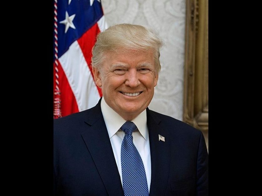 The above image is the official portrait of former-President Donald Trump in 2017.