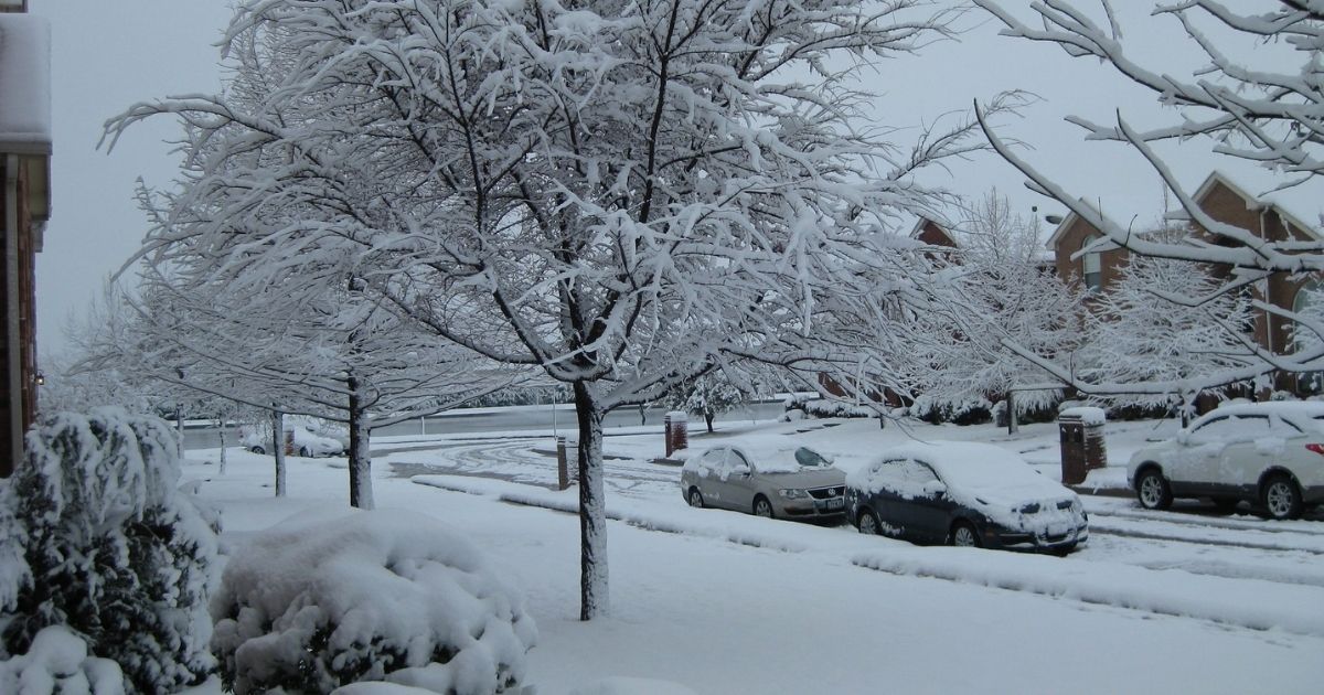 Texas Snow Storm Feb 2010