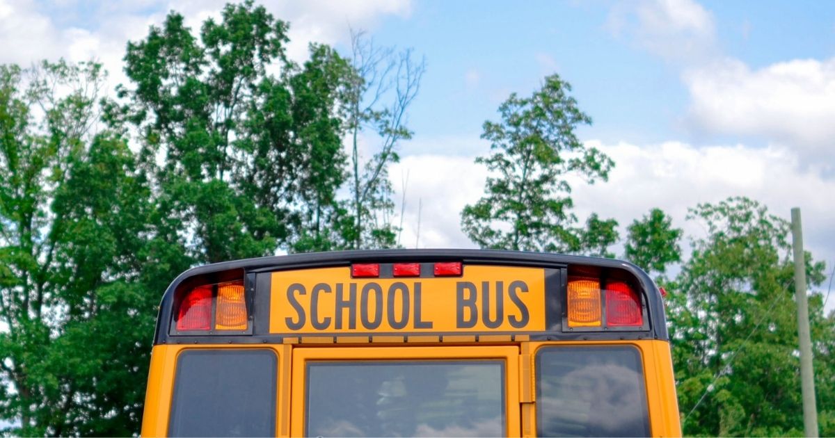 Top of the back of a school bus