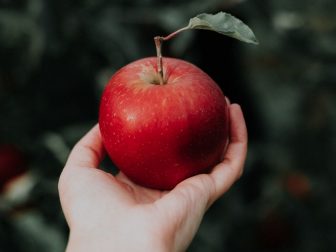 A hand holding an apple