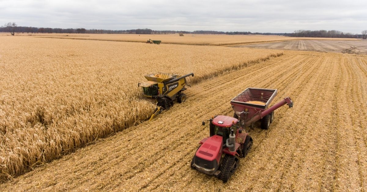 Harvest of corn in Southwest Michigan. This combine fills up the tractor and trailer with corn.