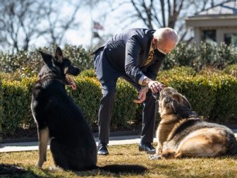 President Joe Biden plays with the Biden family dogs Champ and Major Wednesday, Feb. 24, 2021, in the Rose Garden of the White House. (Courtesy Photo by Ana Isabel Martinez Chamorro)