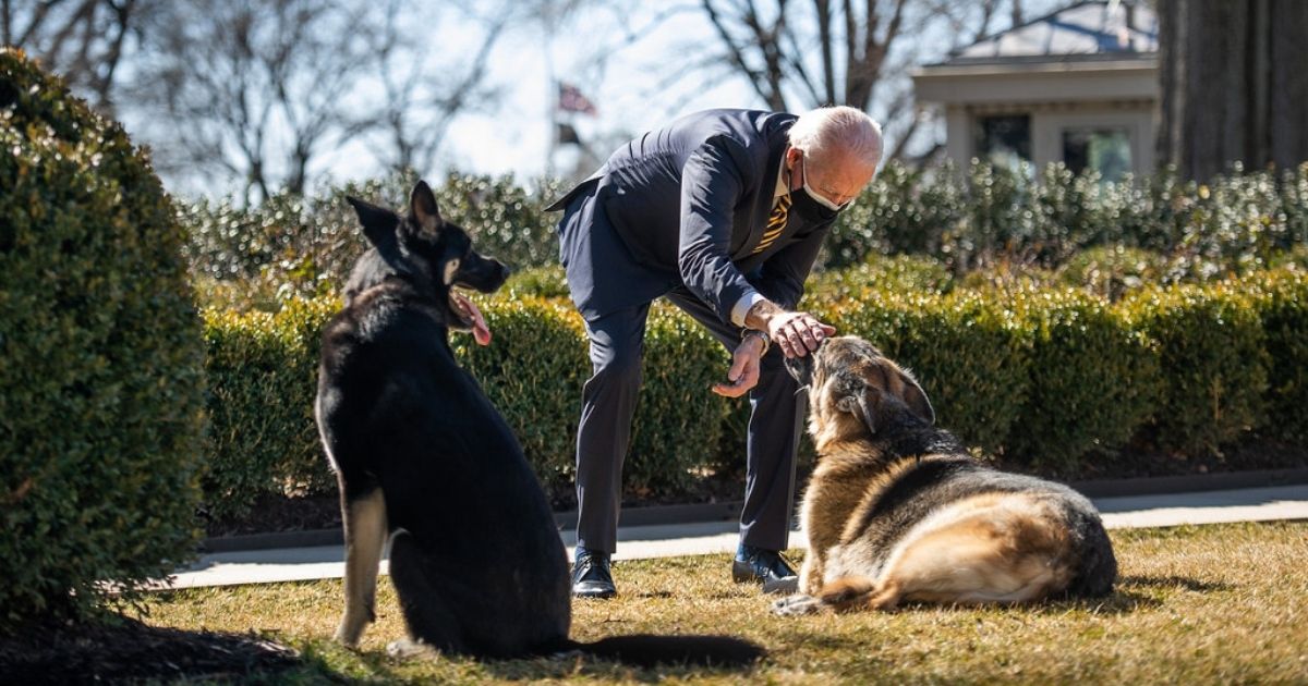 President Joe Biden plays with the Biden family dogs Champ and Major Wednesday, Feb. 24, 2021, in the Rose Garden of the White House. (Courtesy Photo by Ana Isabel Martinez Chamorro)