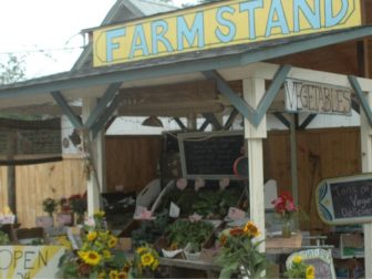 farm stand