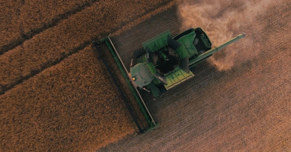 Wheat harvester