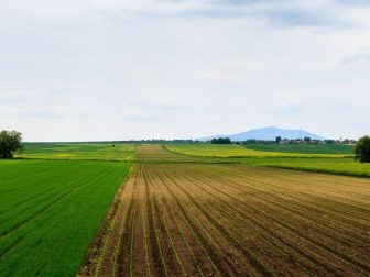 Panoramic view of farmland