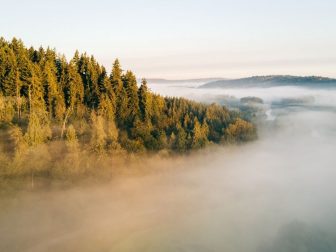 A drone photo above the morning fog. Carnation, WA