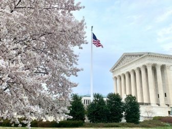 Cherry blossoms, Supreme Court