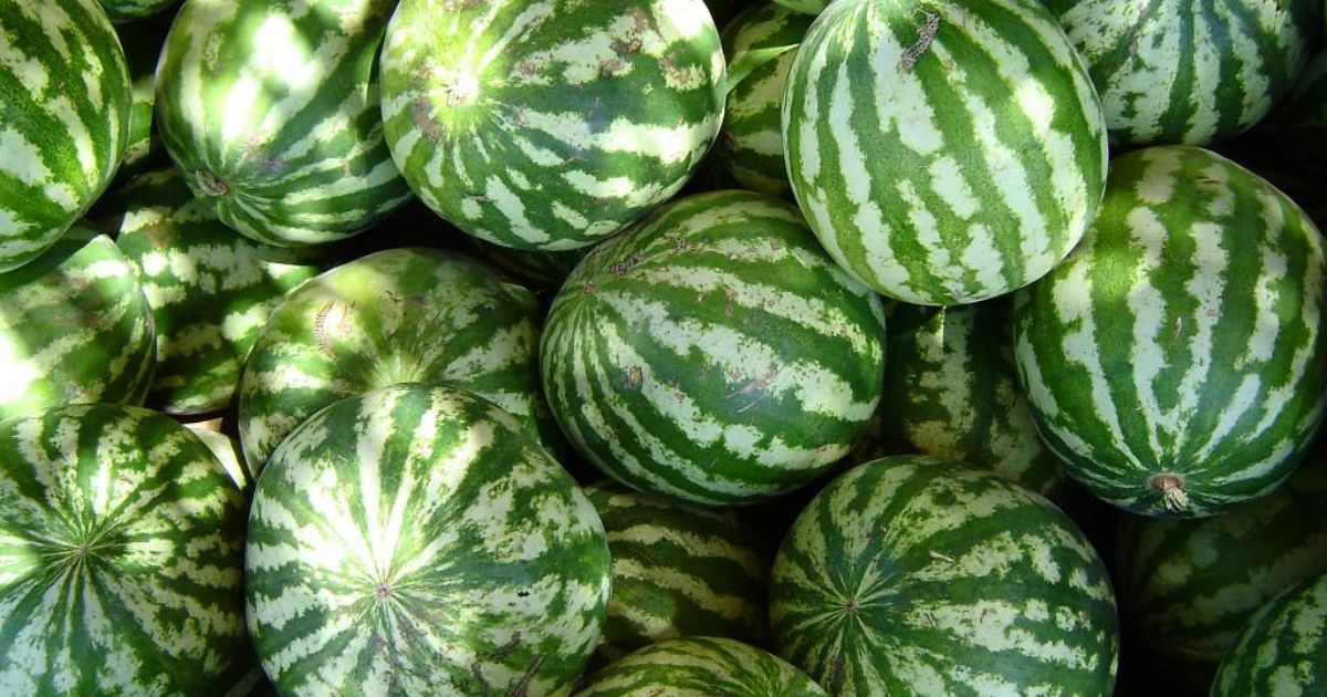 Watermelons