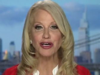 Former White House aide and Republican pollster Kellyanne Conway discusses the upcoming midterm election.