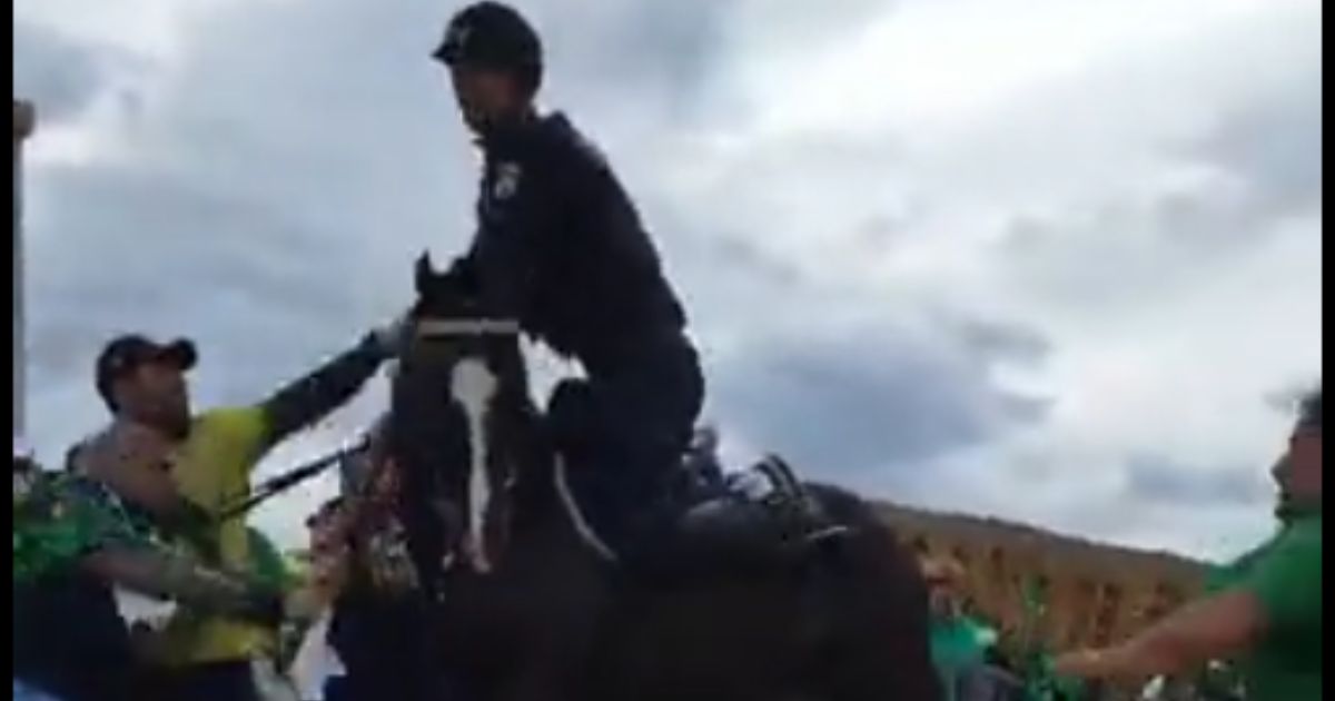 Protesters in Brazil pulled a police officer off of his horse and dogpiled him during protests over the new socialist president on Sunday.