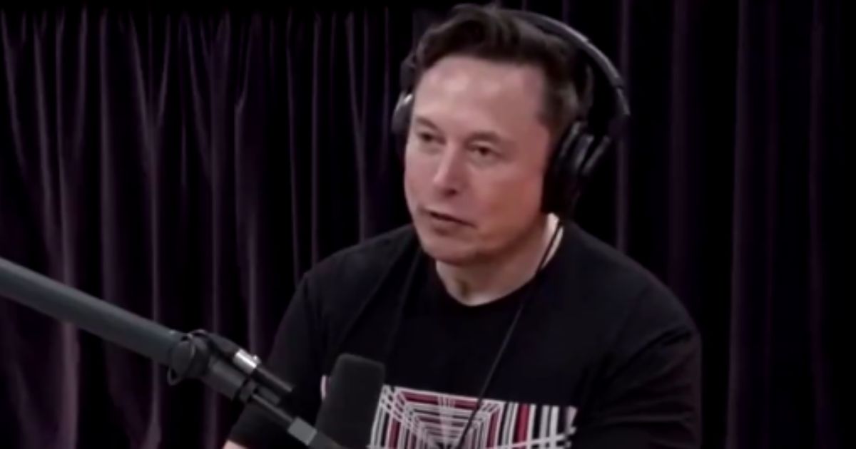 Elon Musk discusses COVID-19 in an old episode of Joe Rogan's podcast.