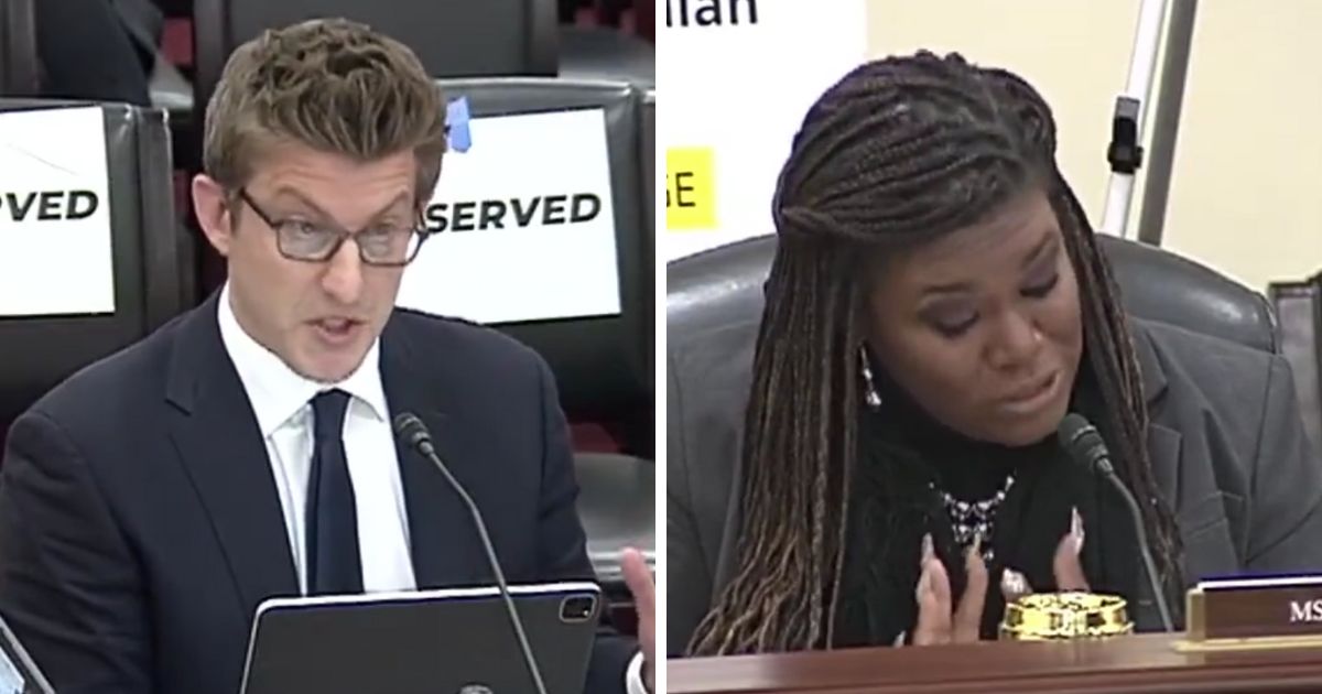 These Twitter screen shots show energy sector expert Alex Epstein (L) and Rep. Cori Bush (R) at a hearing about the Strategic Petroleum Reserve.