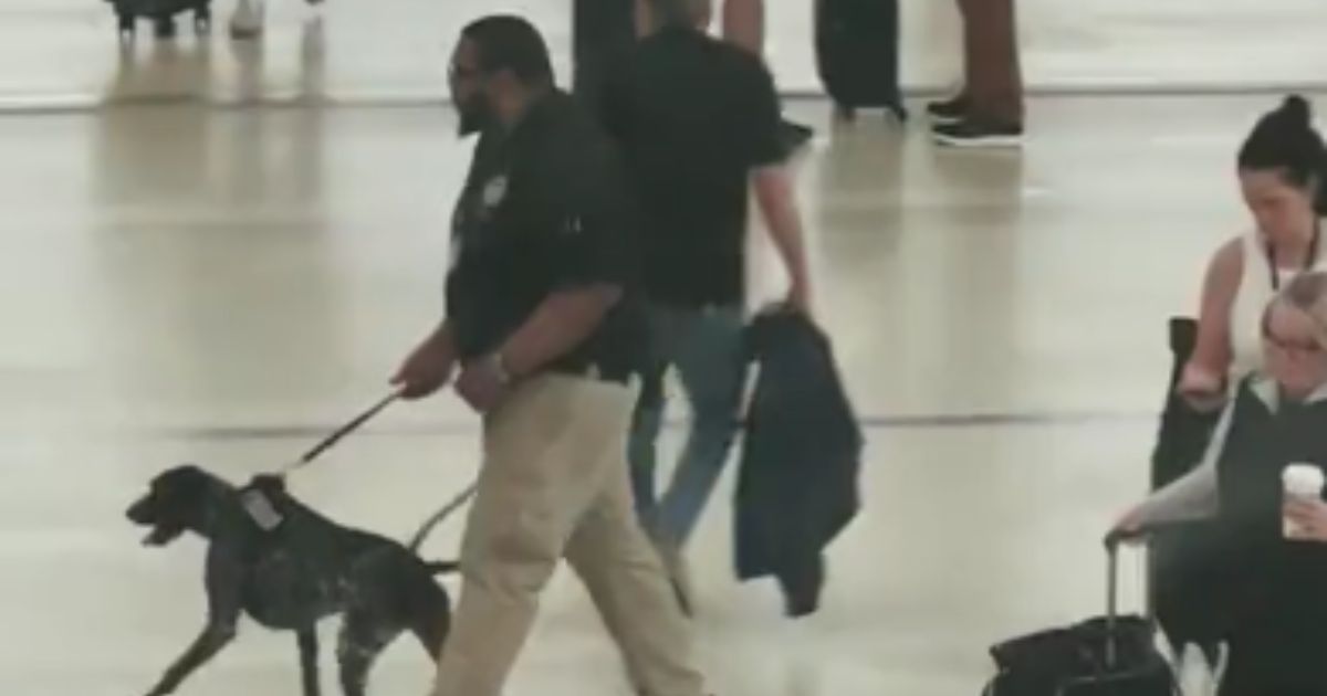 A TSA agent is seen with a canine in a Detroit airport.