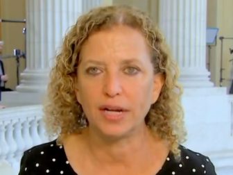 Rep. Debbie Wasserman Schultz speaks with MSNBC on Wednesday.