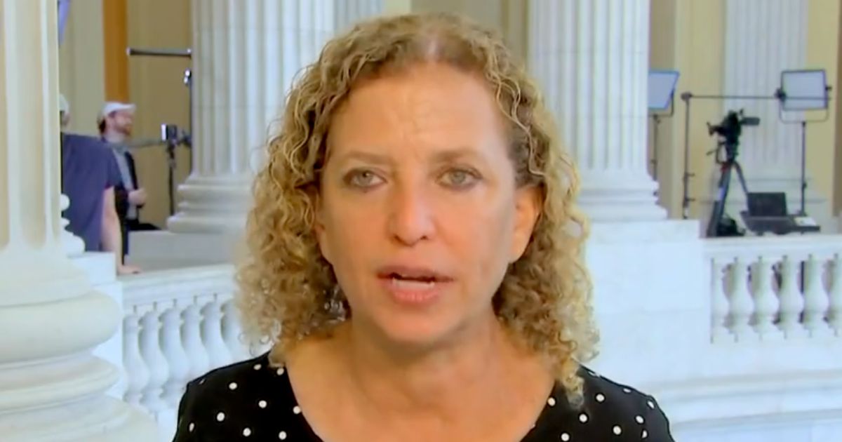 Rep. Debbie Wasserman Schultz speaks with MSNBC on Wednesday.