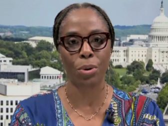 Congresswoman Stacey Plaskett of the Virgin Islands misspoke while on MSNBC.