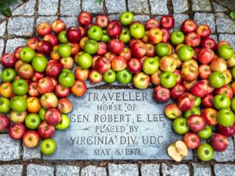 The image is of Robert E. Lee's horse Traveller's grave.