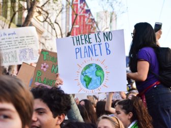 Climate change protest