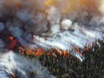 2013 photo of the Alder Fire in Yellowstone National Park