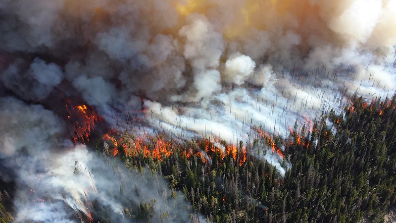 2013 photo of the Alder Fire in Yellowstone National Park