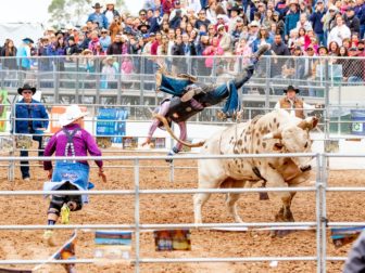 Rodeo Crowd