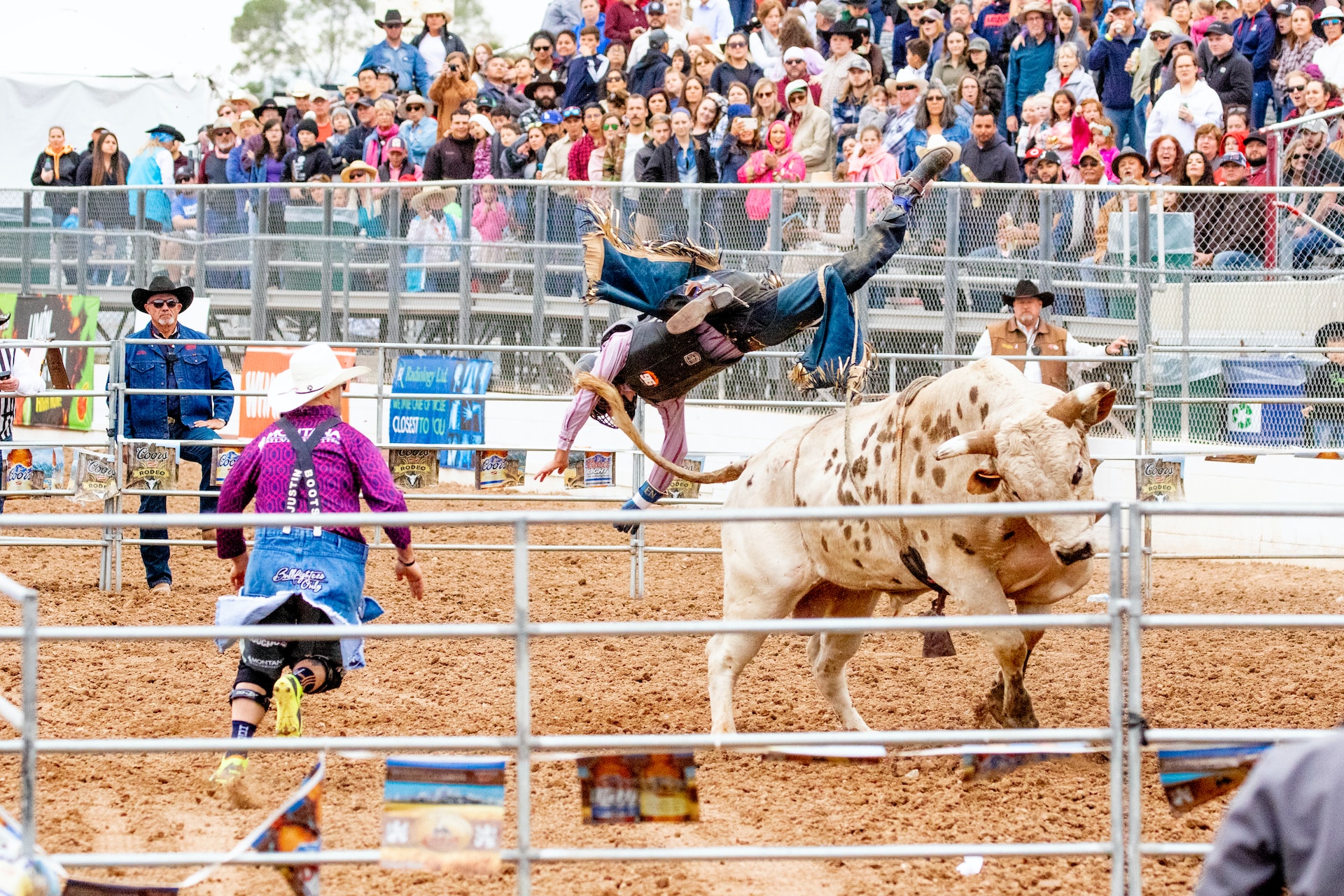 Rodeo Crowd