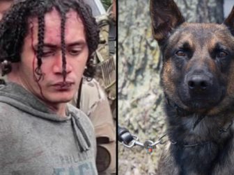 A police K-9 named Yoda helped capture escaped murderer Danelo Cavalcante in South Coventry Township, Pennsylvania, on Wednesday.