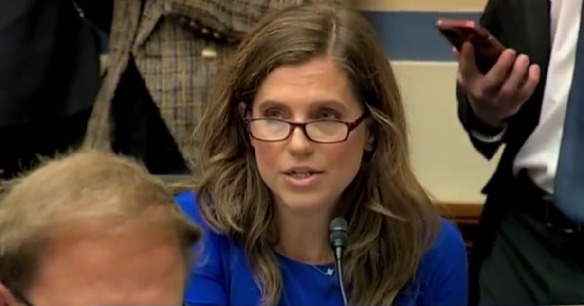 South Carolina GOP Rep. Nancy Mace told her Democrat colleagues on the House Oversight Committee that "it doesn't take a genius" to figure out who Hunter Biden was referring to in his veiled messages.