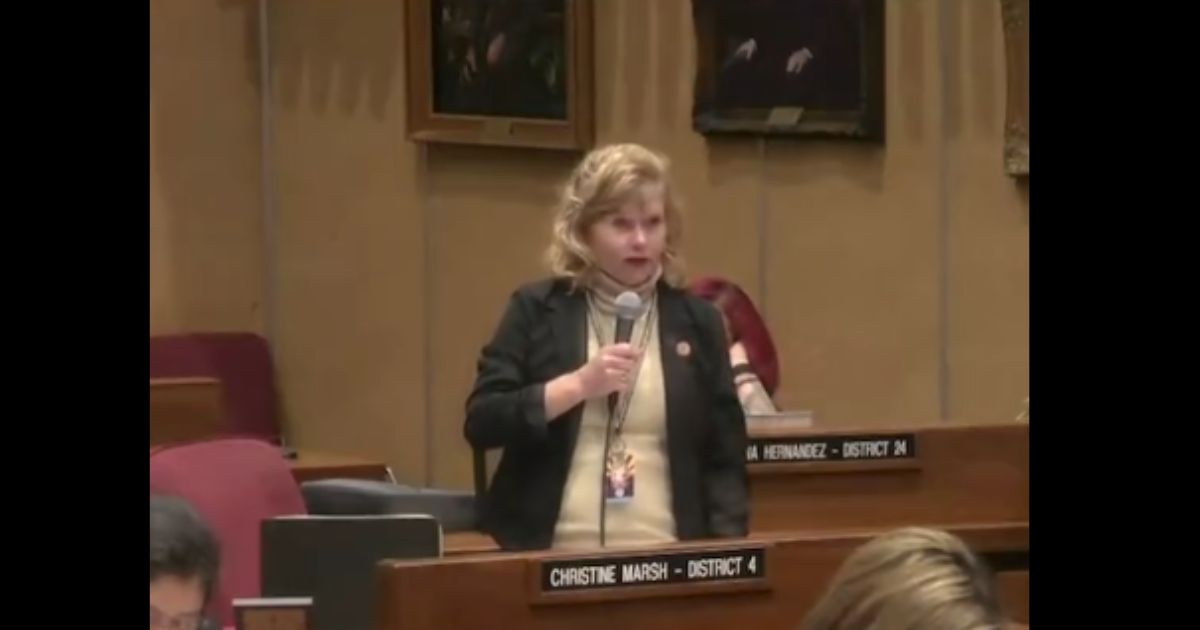 Democratic Sen. Christine Marsh of Arizona speaks in a February meeting.