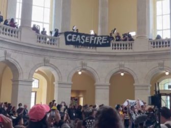 Protesters took over the Cannon House Office Building on Wednesday in Washington, D.C.