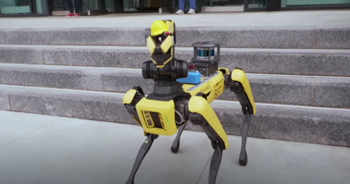 The above image is of a robot dog.