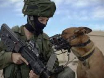 An Israeli Defense Forces soldier with a military dog.