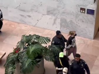 Pro-Palestinian protesters are led out of the Senate office building's lobby with their hand zip-tied.