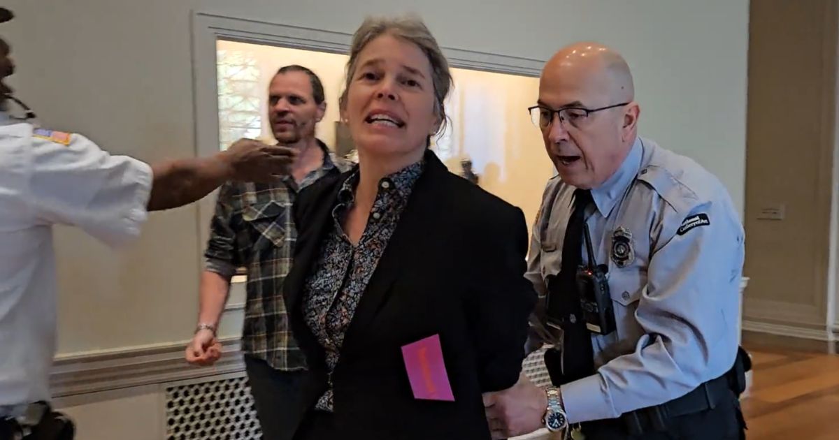 A climate activist is arrested at the National Gallery of Art in Washington.