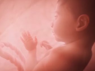 This is a monotone conceptual image of a baby inside the womb at 27 weeks created by the pro-life organization Live Action.